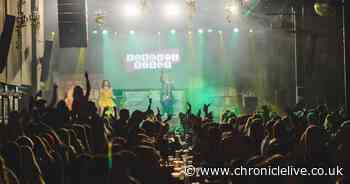 Bongo's Bingo app launches and lets you get your hands on tickets before anyone else