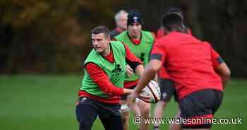 Scott Williams called up to Wales squad as injury cover after Willis Halaholo blow