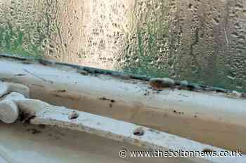 Landlords can be sued for cold and mouldy homes thanks to new law