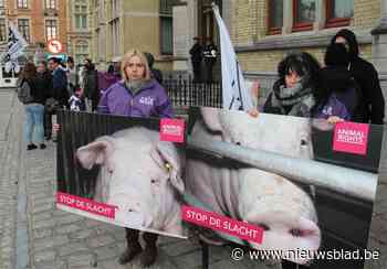 Berucht slachthuis en CEO riskeren forse boete in rechtszaak na undercoverbeelden Animal Rights