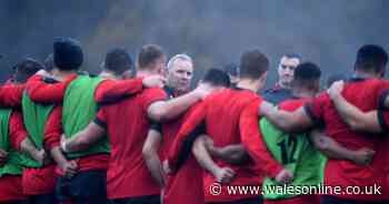 Wayne Pivac's first day in Wales camp