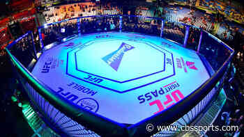 Police identify remains believed to be UFC heavyweight Walt Harris' missing stepdaughter