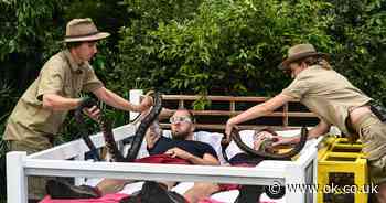 I’m A Celebrity’s Ant and Dec hit back at claims that live Bushtucker Trial was ‘FIXED’