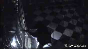 Dresden police release security footage after 'priceless' jewelry stolen from museum