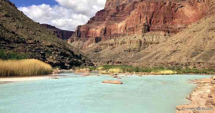 Arizona tribes oppose plan to dam Colorado River tributary