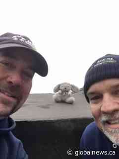 Sentimental toy rabbit lost from vintage flight over Hamilton area has been found