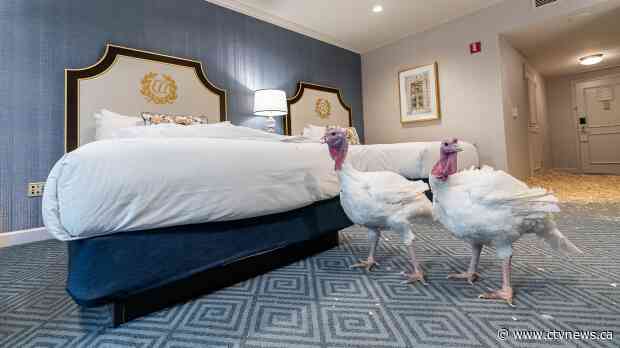 Turkeys stay in US$422 hotel room before getting pardoned by Trump