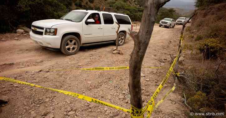 Mike Lee calls for sanctions against Mexican drug cartels who killed 9 U.S. citizens with Utah ties