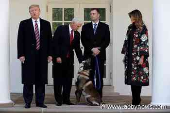 Trump honours military dog at White House after al-Baghdadi raid