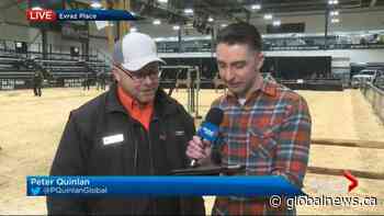 Saskatchewan weather outlook: Nov. 25
