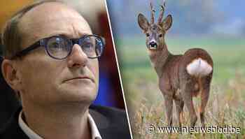 Weyts tikt Plantentuin Meise op de vingers voor neerschieten reeën: “Om collectie te beschermen”