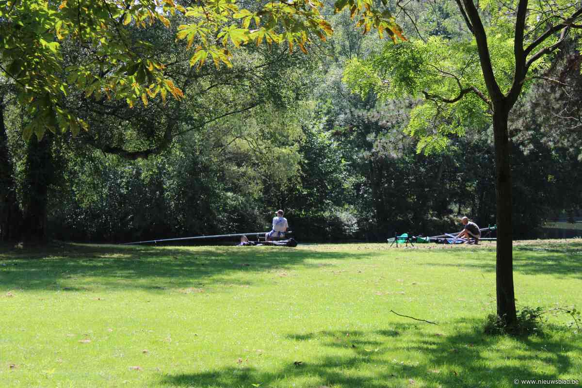 Meise wil 2.500 extra bomen tegen 2024
