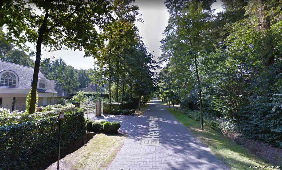 Balkan-bende mishandelt villabewoner