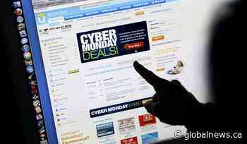 10 tips to avoid being scammed shopping online this holiday season