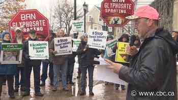 In New Brunswick, opposing forestry industry practices can be dangerous for your career