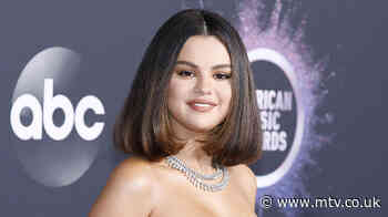 Selena Gomez Reportedly Had A Panic Attack Before Her AMAs Performance
