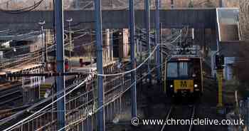 Metro train pulled out of service after two thirds of it were damaged by graffiti