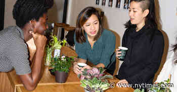 Trading Houseplants and Making Friends