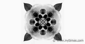 Who’s More Qualified to Write About Death Than a Funeral Director Poet?