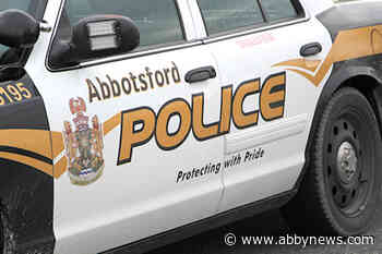 Man allegedly found with fake gun after police investigate break-in