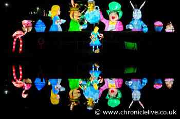 Alice in Winterland comes to Lightwater Valley