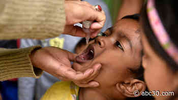 More polio cases now caused by vaccine than by wild virus