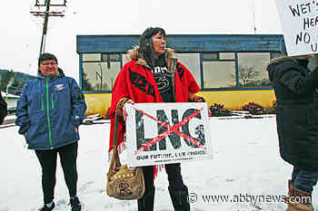 B.C. provided $830M in fossil fuel subsidies in 2017-18: report