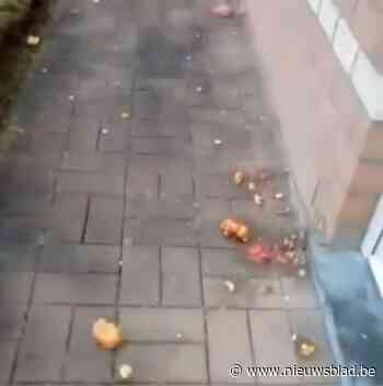 Politie start onderzoek wie tomaten naar woning gooide