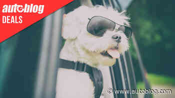 Keep your doggo secure in the back seat with this hammock