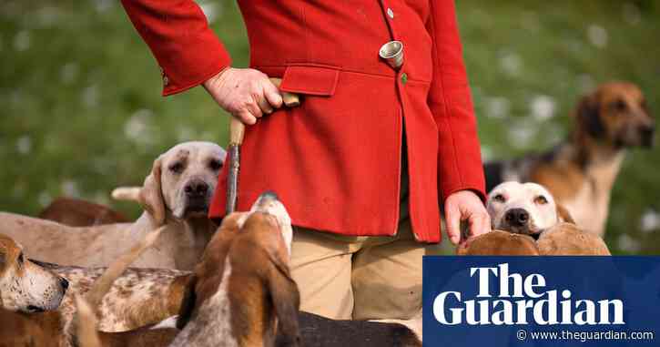 Men given suspended sentences for 'releasing fox into path of hunt'