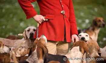 Men given suspended sentences for 'releasing fox into path of hunt'