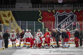 NHL investigates allegations Calgary Flames coach used racial slurs