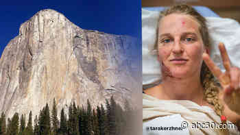 Elite climber falls from Yosemite's El Capitan, rescued by fellow climbers, including Alex Honnold