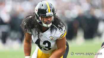 Polamalu, Wayne among semifinalists for Hall