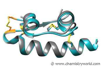 Engineered insulin with enhanced thermal stability inspired by fish-hunting snails