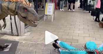 The made-in-Wales dinosaur prank that's gone absolutely massive online