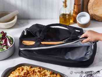 Don't ruin your Thanksgiving potluck dishes by using the wrong plates to transport them     - CNET