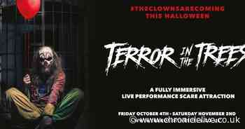 Beamish Hall cleared by advertising watchdogs after clown ad 'too scary for kids' complaint