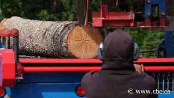 B.C. forestry crisis deepens as Canfor announces 2 week provincewide shutdown
