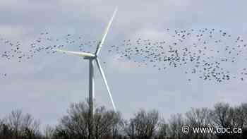 Ontario auditor general assesses green energy cancellation costs as reasonable