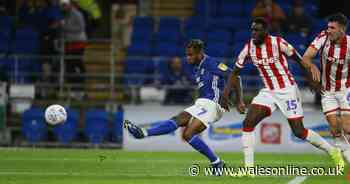 Cardiff City 1-0 Stoke City: Leandro Bacuna strike earns Neil Harris first Bluebirds win