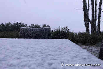 November snowfall hits parts of the Lower Mainland