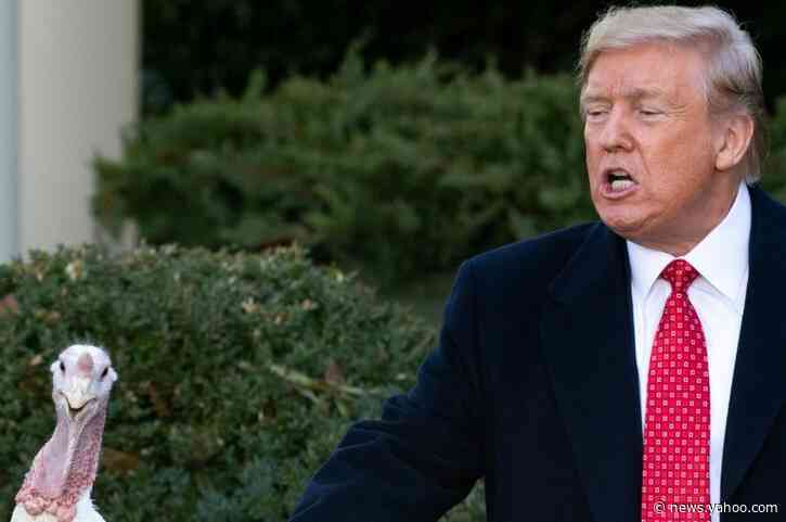 Trump cracks impeachment jokes at turkey pardoning