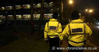 Labour promises around 20 extra police officers to tackle violent crime on Tyneside if elected