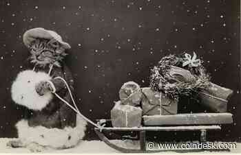 How to Earn and Spend Bitcoin on Black Friday 2019