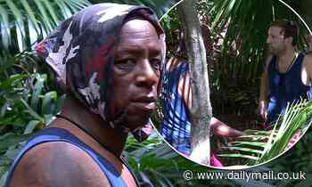 I'm A Celebrity: Ian Wright slammed by viewers for 'bullying' Andrew Maxwell