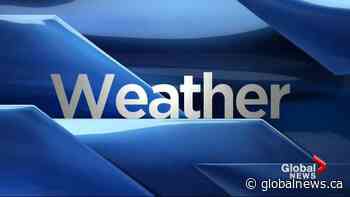 Saskatchewan weather outlook: Nov. 26