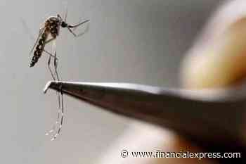 Dengue in West Bengal: ZSI to set up task force for prevention measures