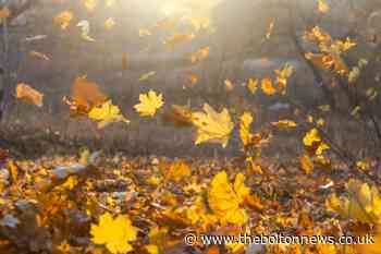 Leaves altering Northern train timetables