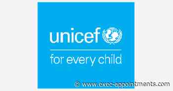 UNICEF : Deputy Director for Investigations
